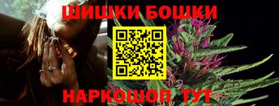 стаф Новозыбков