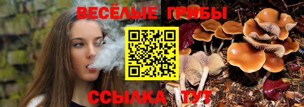 Галлюциногенные грибы GOLDEN TEACHER Бердск