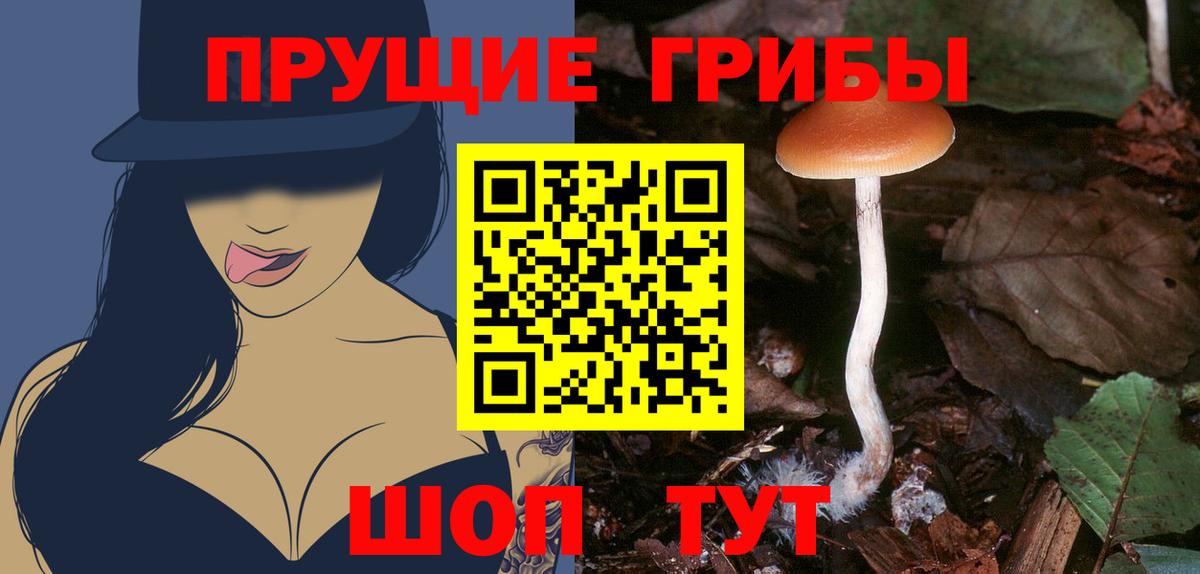 Галлюциногенные грибы мухоморы  Вход с VPN  Бердск 