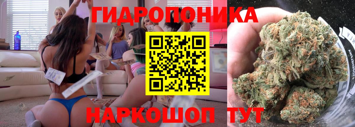 Бердск  Бошки марихуана VHQ  Канабис индика  Вход с VPN 